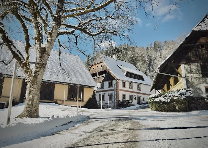 Rafting Camp * 帕尔福