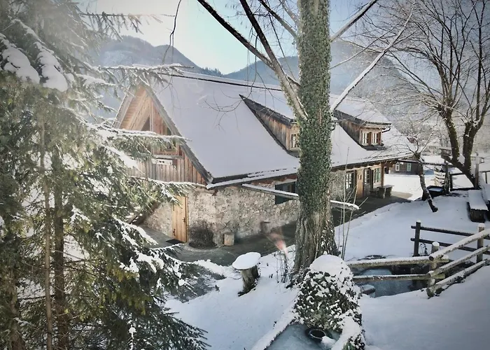 Rafting Camp Kır Evi Palfau